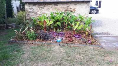 création massif exotique