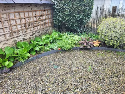 creation massif ombragé