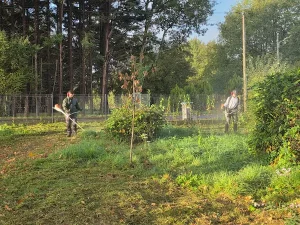 debrouissallage-rotofil