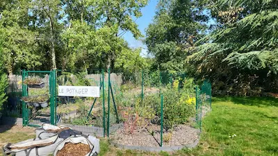 evolution du potager